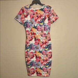 Alexia Admor Pink and Orange Bodycon Midi Dress